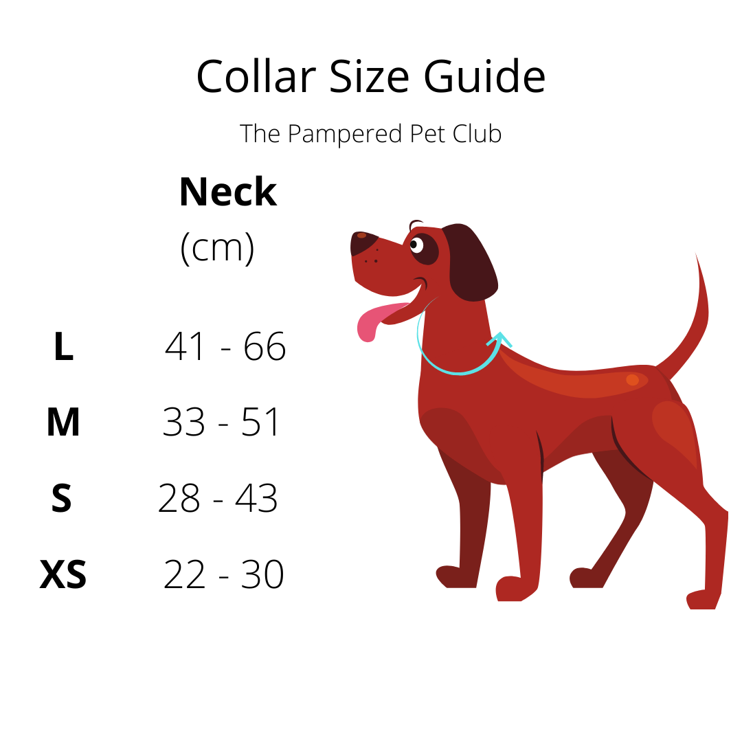 Pet Collar - Foxy