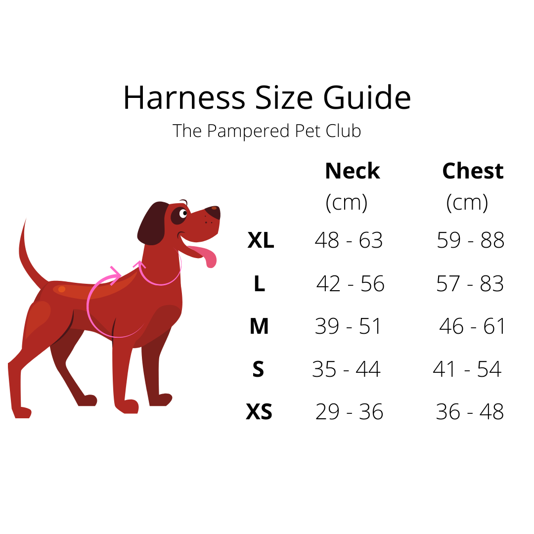 Adjustable Pet Harness - Foxy