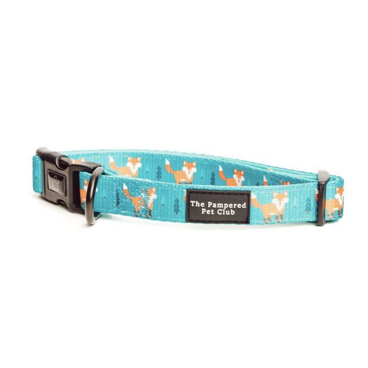 The Pampered Pet Club Foxy Collar