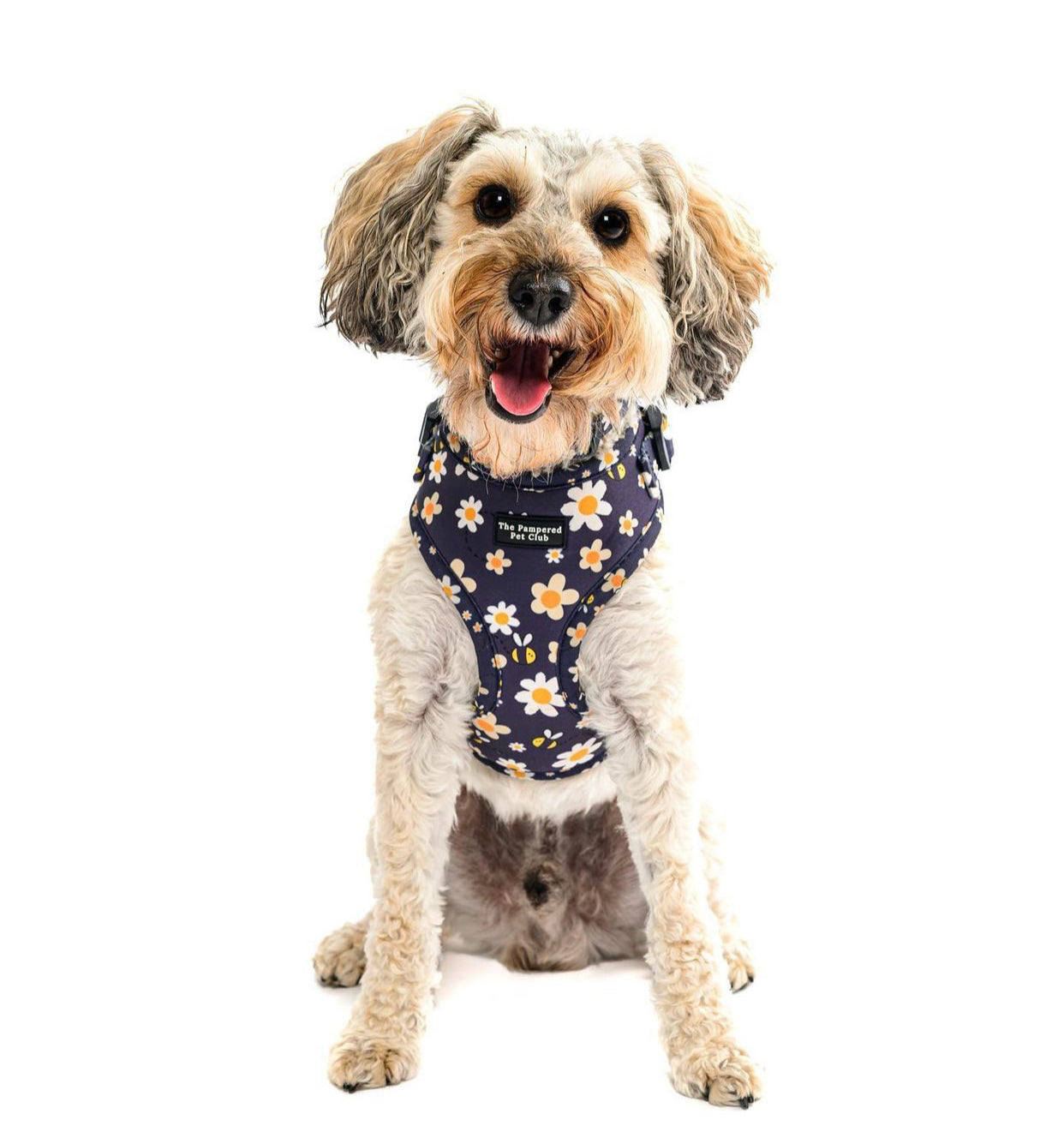 Bee Happy Harness | The Pampered Pet Club